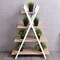 Costway 4-Tier Bookshelf Storage Display Shelves Bookcase Ladder X-Shape Brown/Black